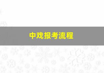 中戏报考流程