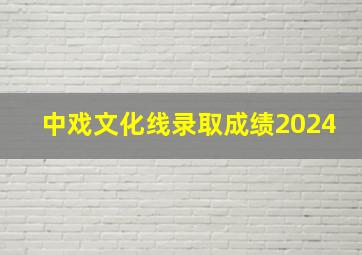 中戏文化线录取成绩2024