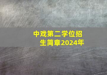 中戏第二学位招生简章2024年