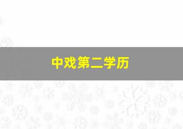 中戏第二学历