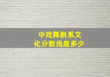 中戏舞剧系文化分数线是多少