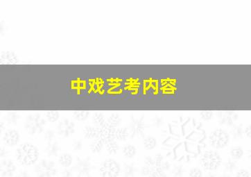 中戏艺考内容