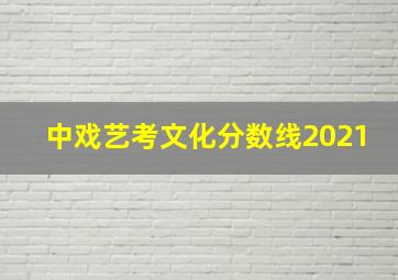 中戏艺考文化分数线2021