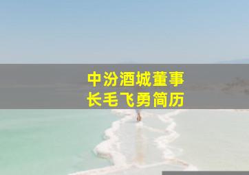 中汾酒城董事长毛飞勇简历