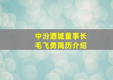 中汾酒城董事长毛飞勇简历介绍