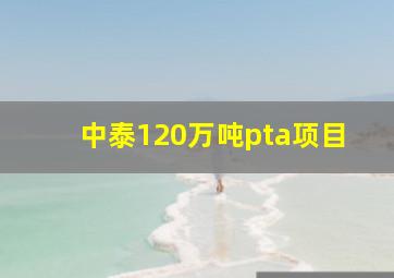 中泰120万吨pta项目