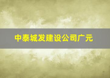 中泰城发建设公司广元