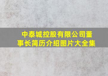 中泰城控股有限公司董事长简历介绍图片大全集