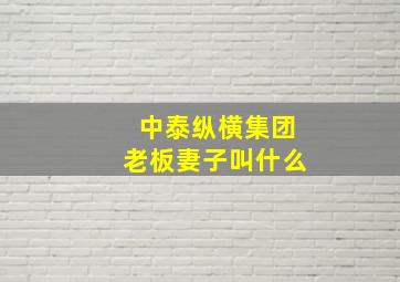 中泰纵横集团老板妻子叫什么