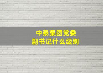 中泰集团党委副书记什么级别