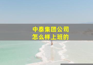 中泰集团公司怎么样上班的