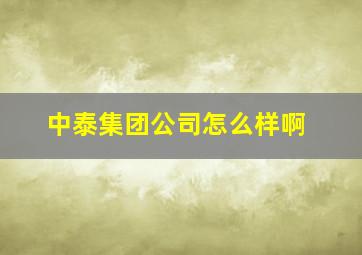 中泰集团公司怎么样啊