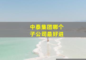 中泰集团哪个子公司最好进