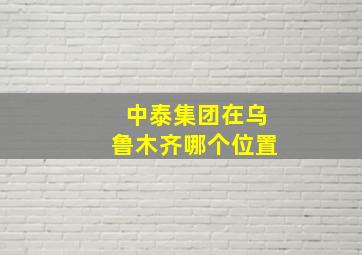 中泰集团在乌鲁木齐哪个位置