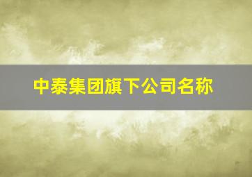 中泰集团旗下公司名称