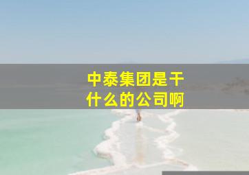 中泰集团是干什么的公司啊