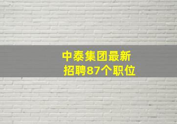 中泰集团最新招聘87个职位