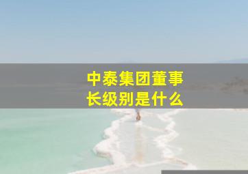 中泰集团董事长级别是什么