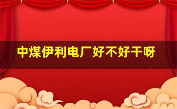 中煤伊利电厂好不好干呀