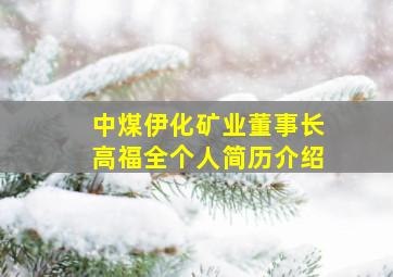 中煤伊化矿业董事长高福全个人简历介绍