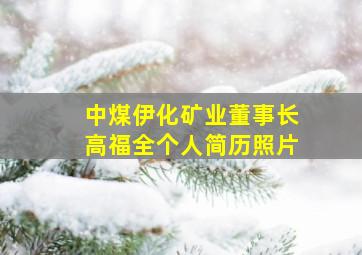 中煤伊化矿业董事长高福全个人简历照片