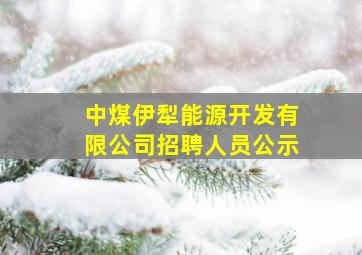 中煤伊犁能源开发有限公司招聘人员公示