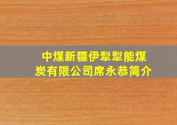 中煤新疆伊犁犁能煤炭有限公司席永恭简介