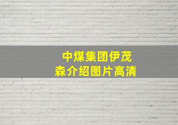 中煤集团伊茂森介绍图片高清