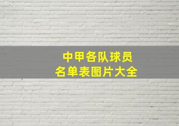 中甲各队球员名单表图片大全