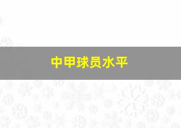 中甲球员水平