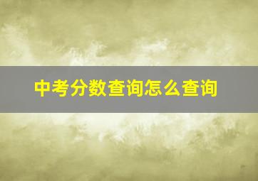 中考分数查询怎么查询