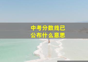 中考分数线已公布什么意思