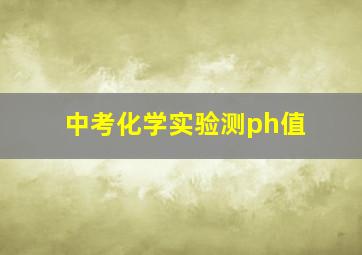 中考化学实验测ph值