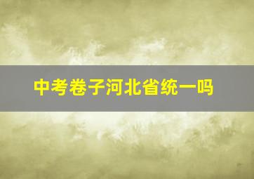 中考卷子河北省统一吗