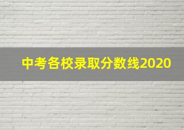 中考各校录取分数线2020