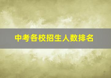 中考各校招生人数排名