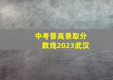 中考普高录取分数线2023武汉