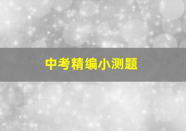 中考精编小测题