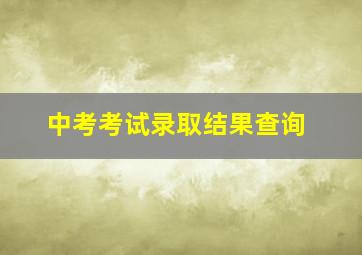 中考考试录取结果查询