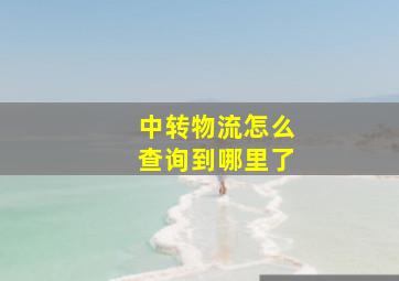 中转物流怎么查询到哪里了