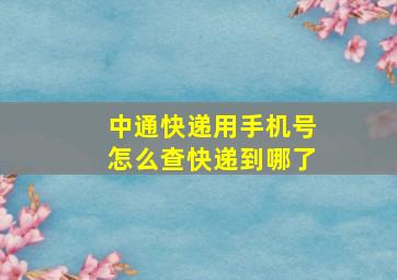 中通快递用手机号怎么查快递到哪了