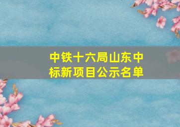 中铁十六局山东中标新项目公示名单