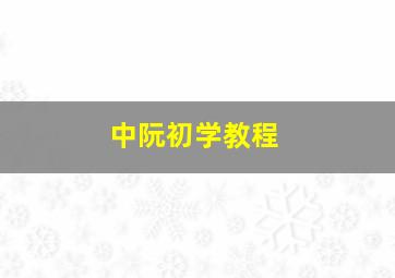 中阮初学教程