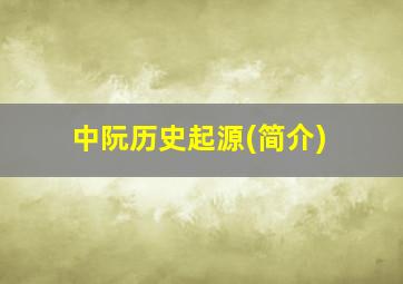 中阮历史起源(简介)