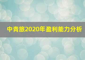 中青旅2020年盈利能力分析