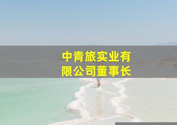 中青旅实业有限公司董事长