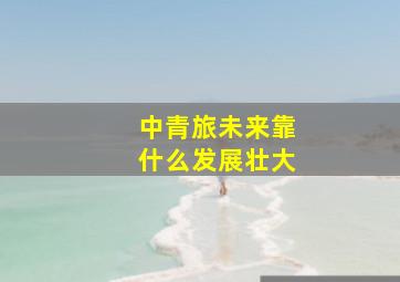 中青旅未来靠什么发展壮大