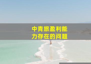 中青旅盈利能力存在的问题