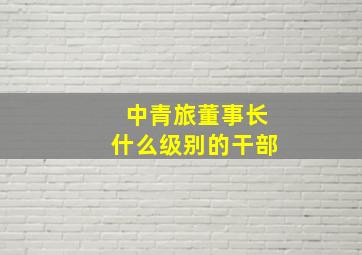 中青旅董事长什么级别的干部