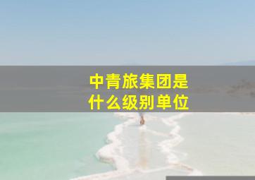 中青旅集团是什么级别单位